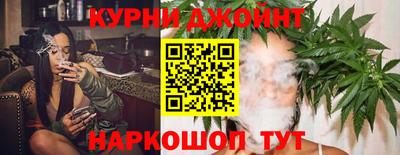 крисы Лесосибирск