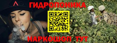 крисы Лесосибирск