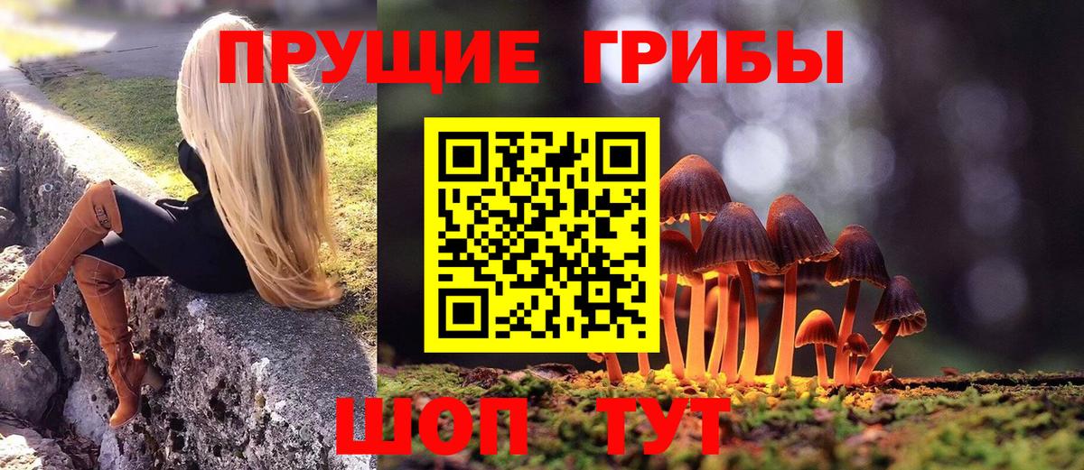 Галлюциногенные грибы мухоморы  где можно купить наркотик  Вход с VPN  Златоуст  Галлюциногенные грибы Psilocybe 